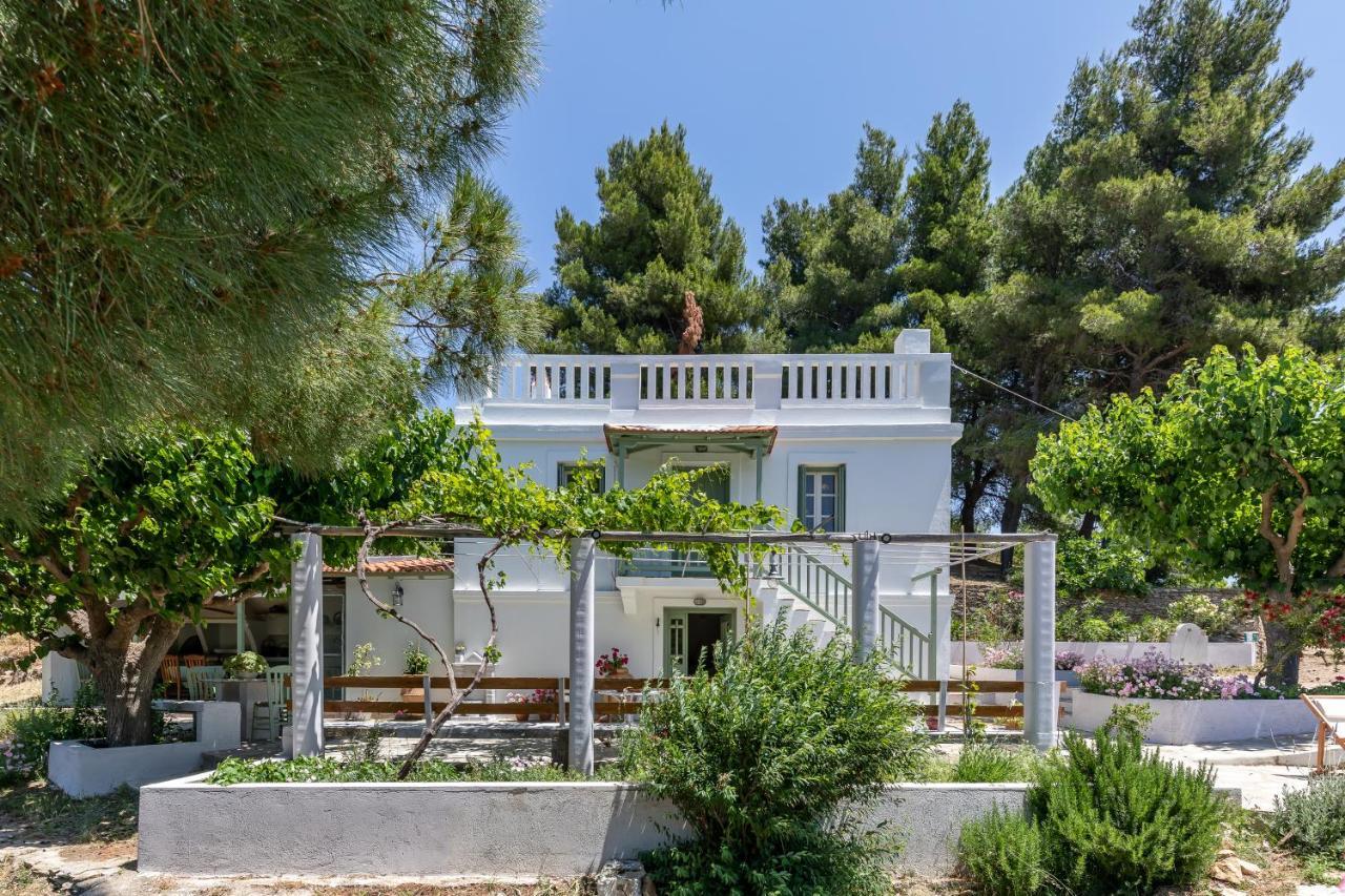Villa Ambeli Скопелос Экстерьер фото